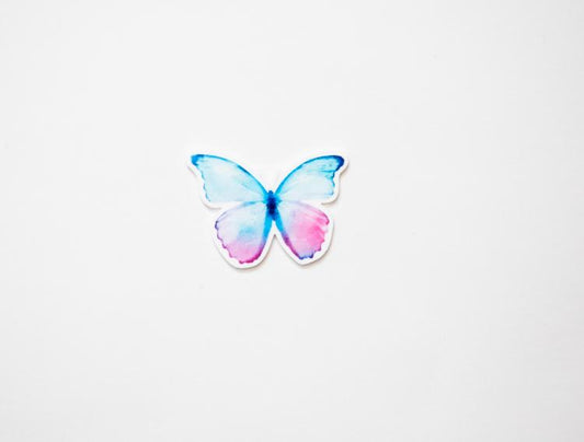 Butterfly Resin