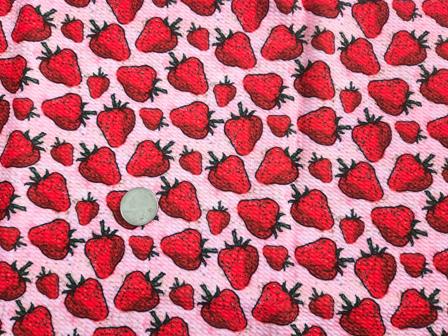 Strawberry Bullet Fabric Strip