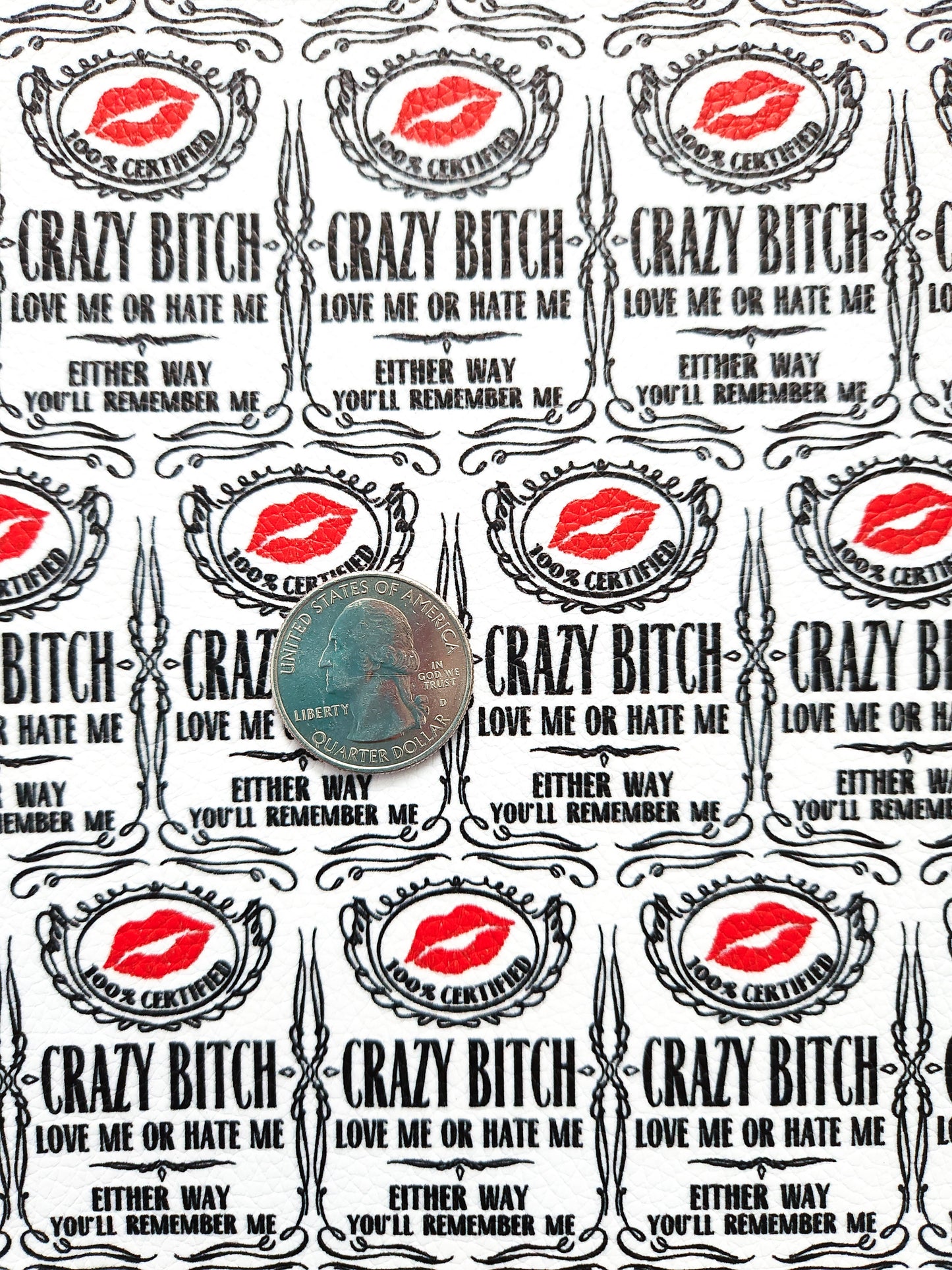 Crazy Bitch 9x12 faux leather sheet